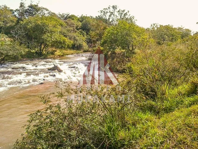 Imagem 14: Fazenda - Camapuã - Ms