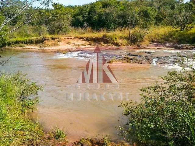 Imagem 5: Fazenda - Camapuã - Ms