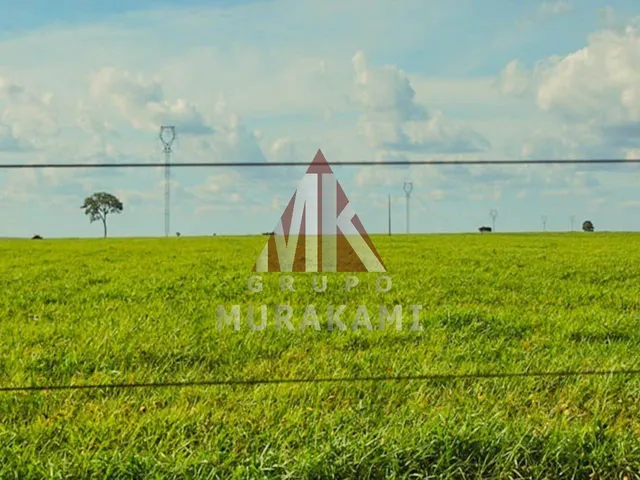 Imagem 3: Fazenda - Camapuã - Ms