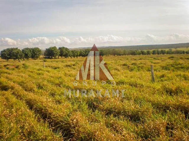 Imagem 6: Fazenda - Camapuã - Ms