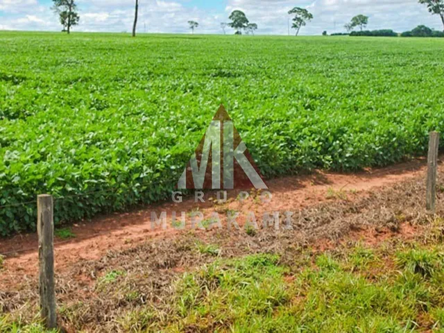 Imagem 2: Fazenda - Camapuã - Ms