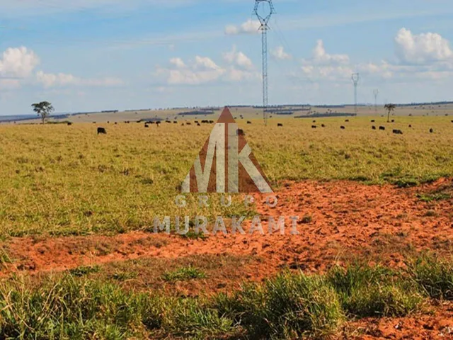 Imagem 10: Fazenda - Camapuã - Ms