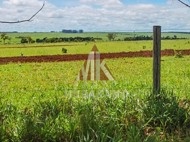 Imagem 16: Fazenda - Camapuã - Ms
