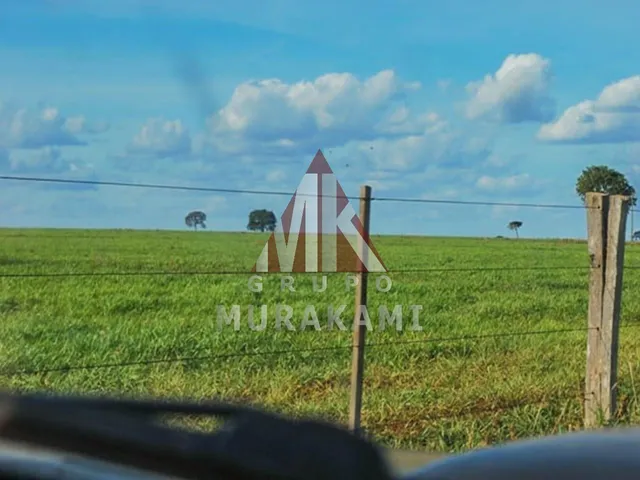 Imagem 9: Fazenda - Camapuã - Ms
