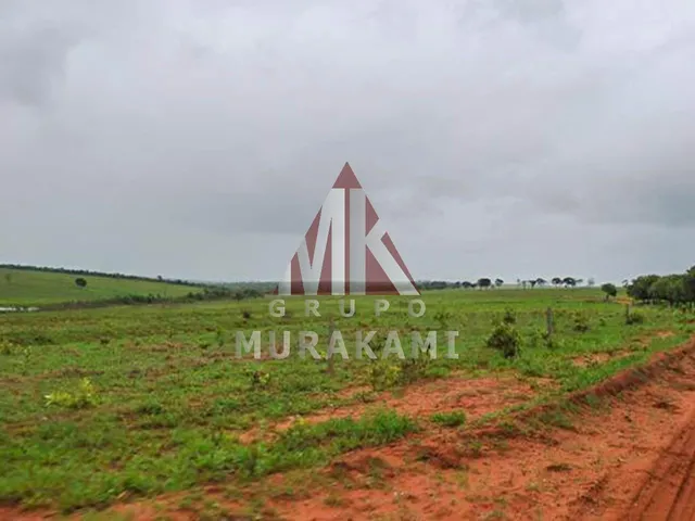 Imagem 15: Fazenda - Camapuã - Ms