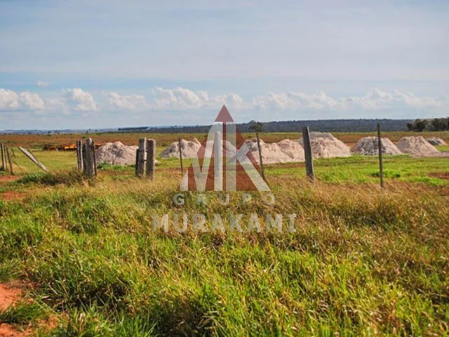 Imagem 8: Fazenda - Camapuã - Ms