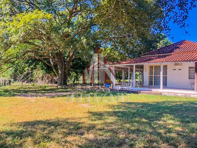 Imagem 6: Fazenda - São Gabriel do Oeste - Ms