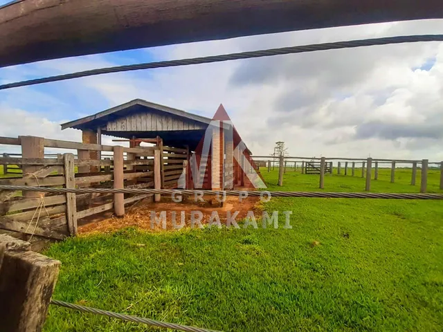 Imagem 9: Fazenda - Marechal Candido Rondon - Pr