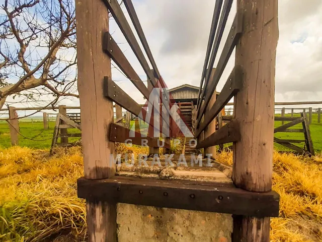 Imagem 11: Fazenda - Marechal Candido Rondon - Pr