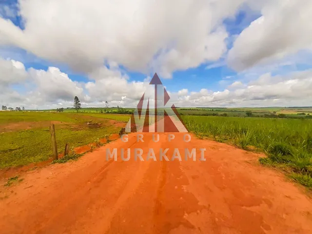 Imagem 12: Fazenda - Marechal Candido Rondon - Pr