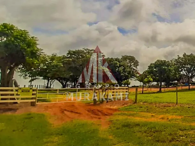 Imagem 10: Fazenda - Marechal Candido Rondon - Pr