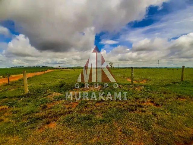Imagem 8: Fazenda - Marechal Candido Rondon - Pr