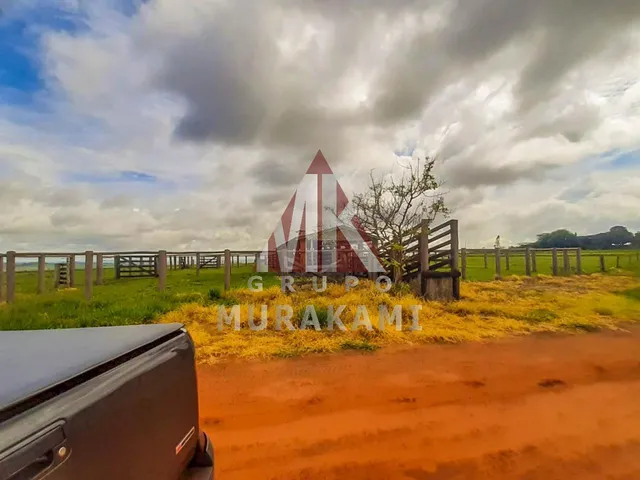Imagem 2: Fazenda - Marechal Candido Rondon - Pr