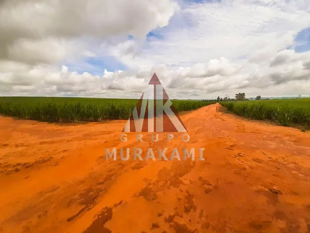 Imagem 7: Fazenda - Marechal Candido Rondon - Pr
