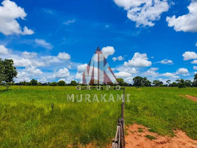 Imagem: Fazenda - Rio Negro - Ms