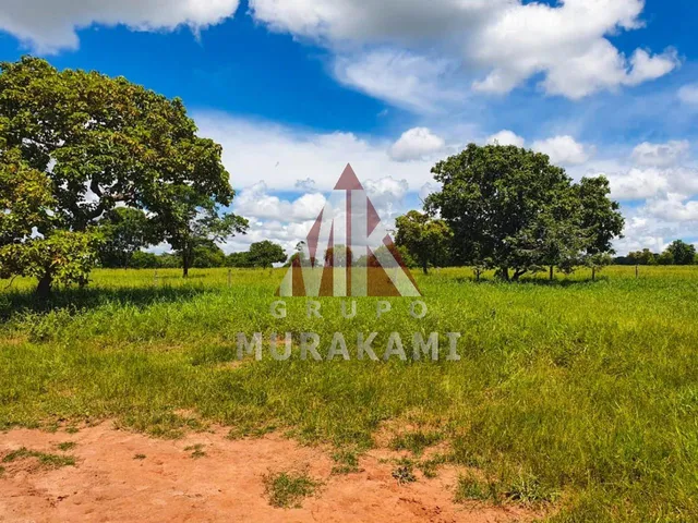 Imagem 8: Fazenda - Rio Negro - Ms