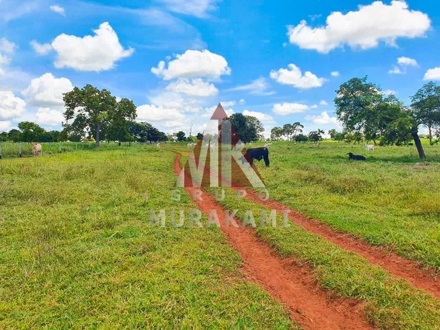 Imagem 6: Fazenda - Rio Negro - Ms