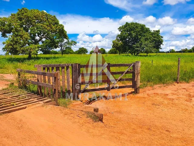 Imagem 5: Fazenda - Rio Negro - Ms