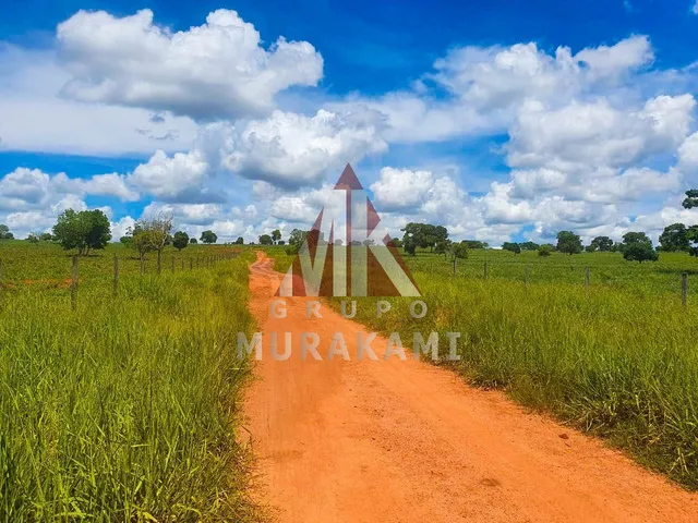 Imagem 4: Fazenda - Rio Negro - Ms