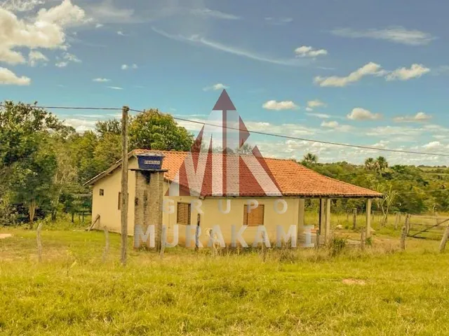 Imagem: Fazenda - Figueirão - Ms