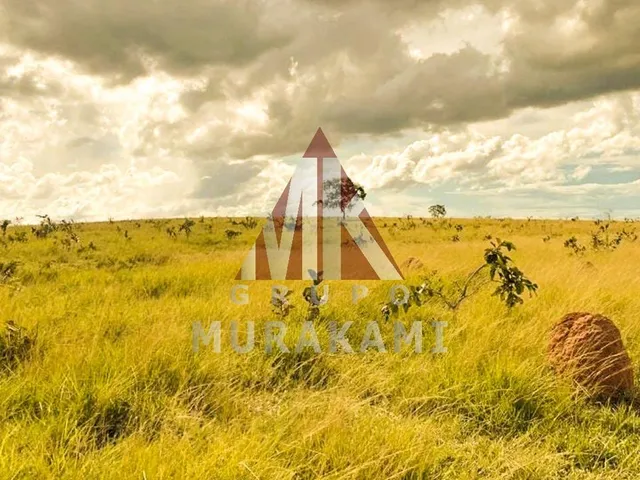 Imagem 2: Fazenda - Figueirão - Ms