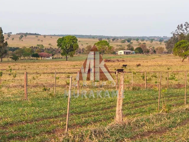 Imagem: Fazenda - Campo Grande - Ms