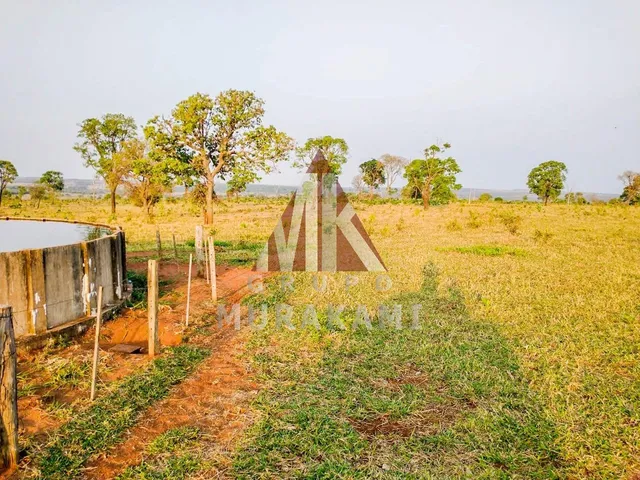 Imagem 11: Fazenda - Campo Grande - Ms