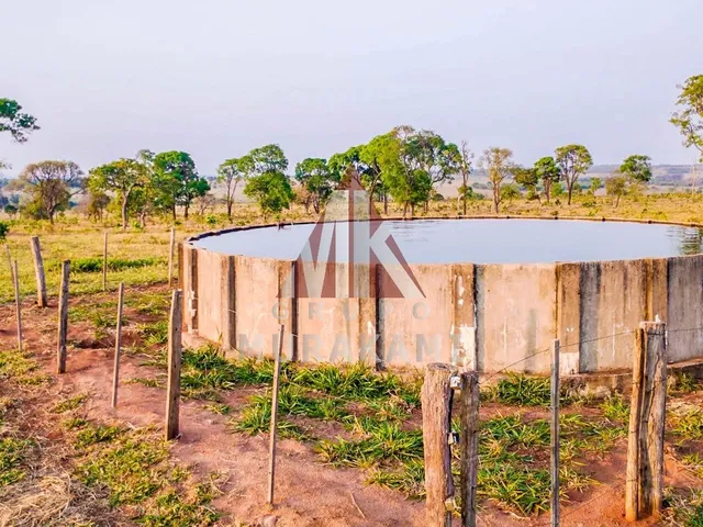 Imagem 3: Fazenda - Campo Grande - Ms