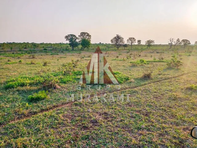 Imagem 2: Fazenda - Campo Grande - Ms
