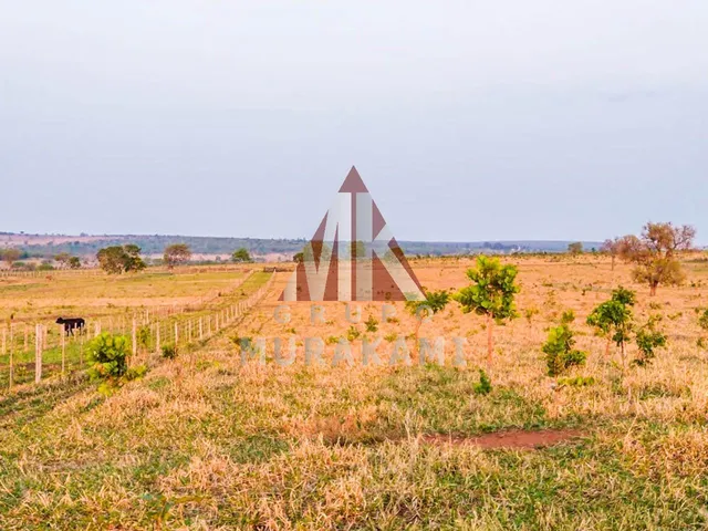 Imagem 13: Fazenda - Campo Grande - Ms