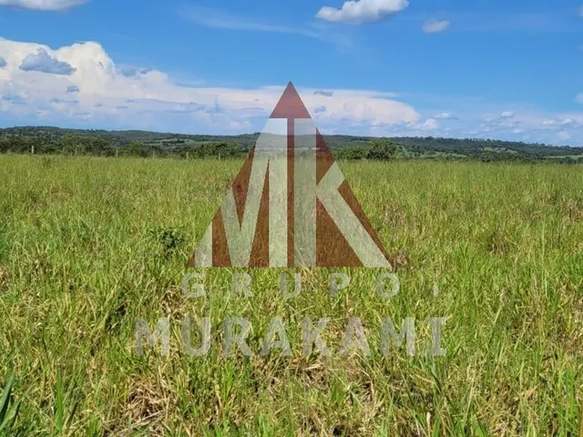 Imagem 6: Fazenda - Sonora - Ms