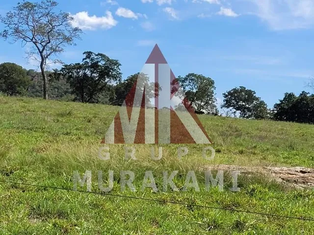 Imagem 2: Fazenda - Sonora - Ms