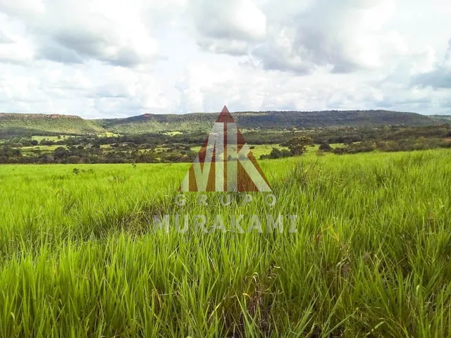 Imagem: Fazenda - Brasilândia - Mt