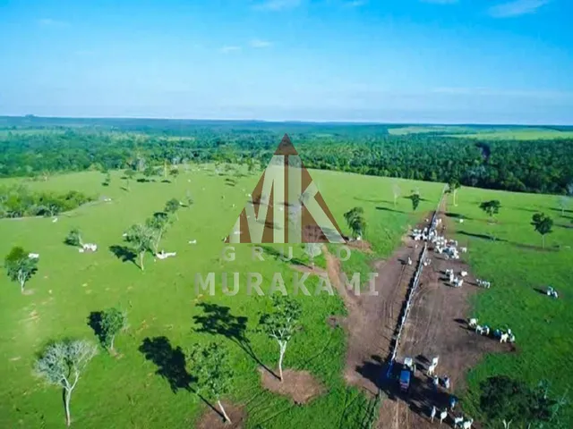 Imagem 4: Fazenda - Paranatinga - Mt