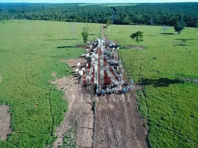 Imagem 10: Fazenda - Paranatinga - Mt