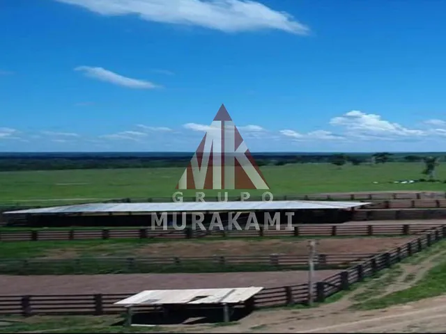Imagem 3: Fazenda - Paranatinga - Mt