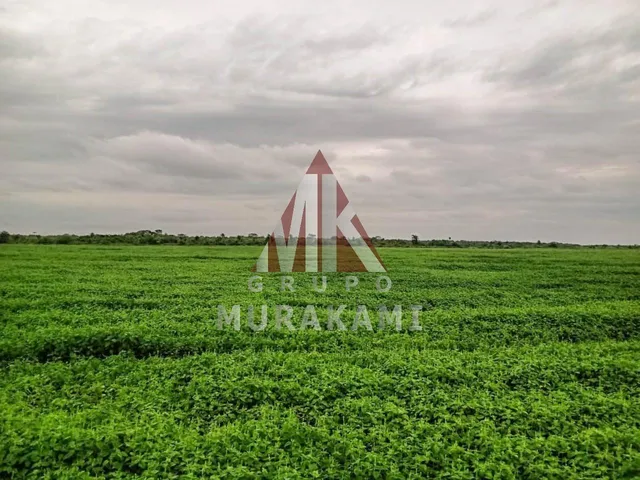 Imagem: Itiquira - Mato Grosso