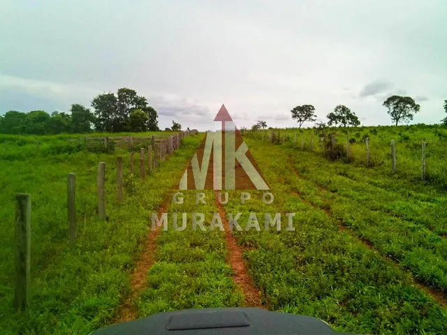 Imagem: Fazenda - Paranatinga - Mt