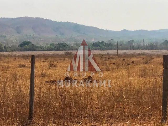 Imagem 2: Fazenda - Paranatinga - Mt