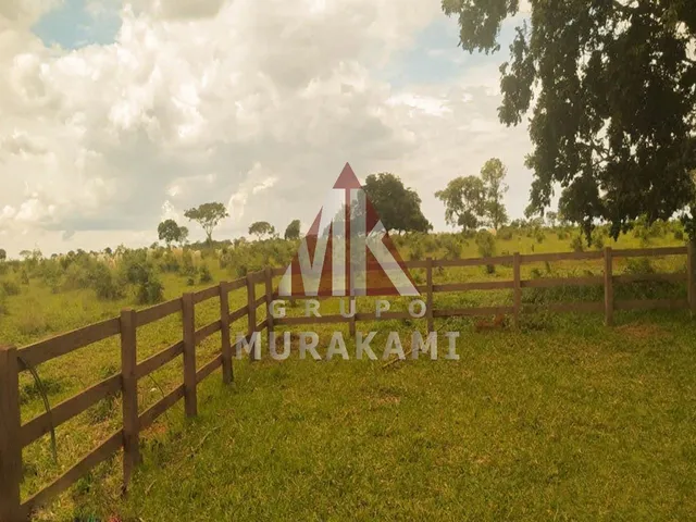 Imagem 9: Fazenda - Campo Grande - Ms