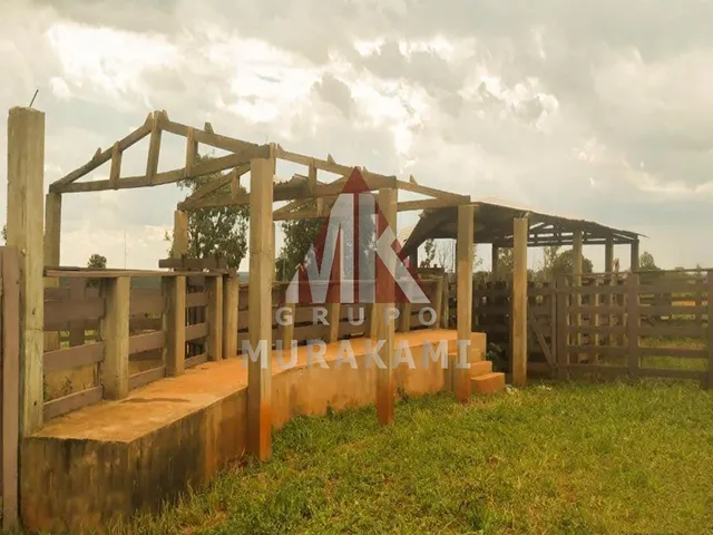 Imagem 8: Fazenda - Campo Grande - Ms