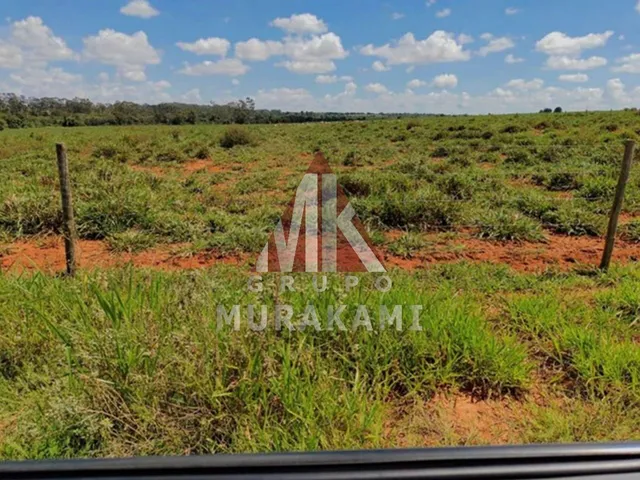 Imagem 15: Fazenda - santa Rita do Pardo - Ms