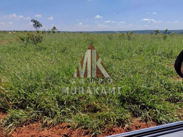 Imagem 2: Fazenda - santa Rita do Pardo - Ms