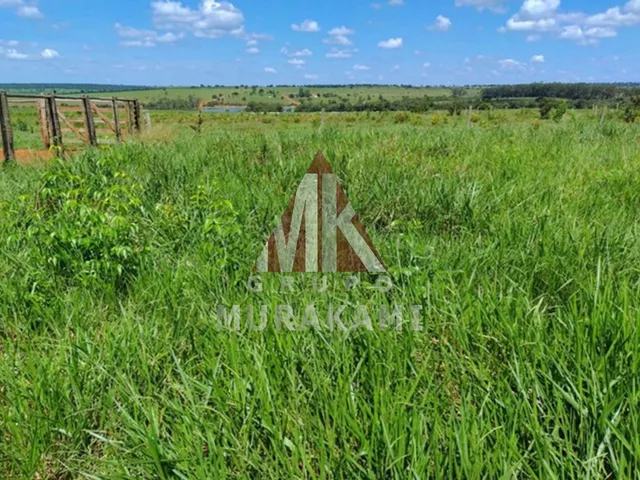 Imagem 6: Fazenda - santa Rita do Pardo - Ms