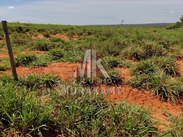 Imagem 8: Fazenda - santa Rita do Pardo - Ms