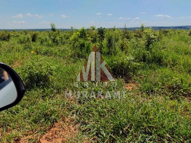 Imagem 10: Fazenda - santa Rita do Pardo - Ms