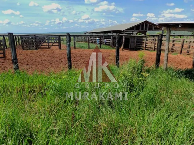 Imagem 13: Fazenda - santa Rita do Pardo - Ms