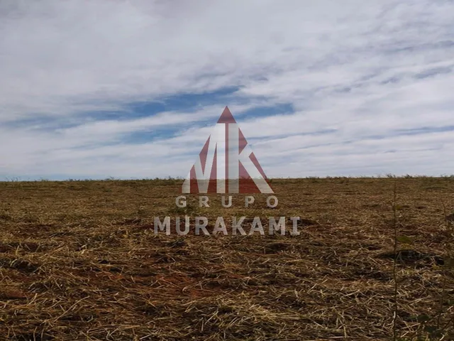Imagem 4: Fazenda - Itaquiraí - Ms