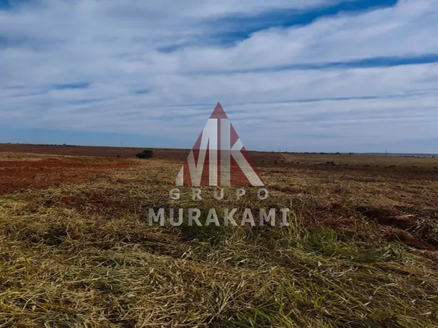 Imagem 2: Fazenda - Itaquiraí - Ms