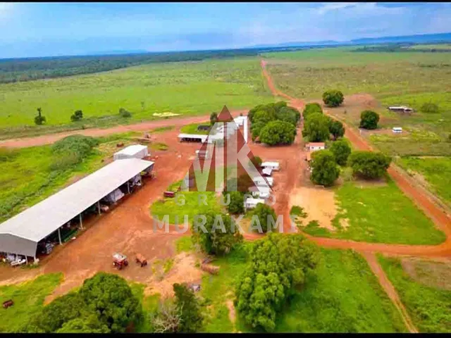 Imagem 8: Fazenda - Confresa - Mato Grosso